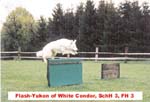 Bild 20 Flash-Yukon of White Condor2